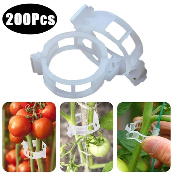 200/50Pcs Usine de Clips Supports Réutilisables de Protection Transparent Greffage Outil de Fixation Pour les Légumes Fruits de Tomate Fournitures de jardinage