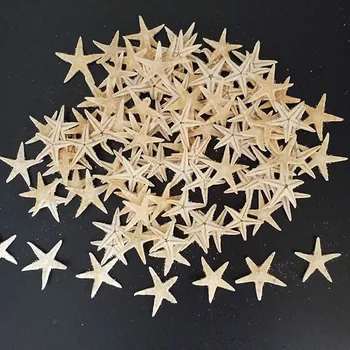 50pcs 2-3cm Naturels de Coquillages, Étoiles de mer de la Plage de l'Artisanat Naturel des Étoiles de Mer DIY Mariage sur la Plage, la Décoration de l'Artisanat de Décoration pour la Maison